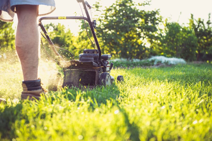 Close-up, low-angle view of a push mower cutting grass in warm evening light