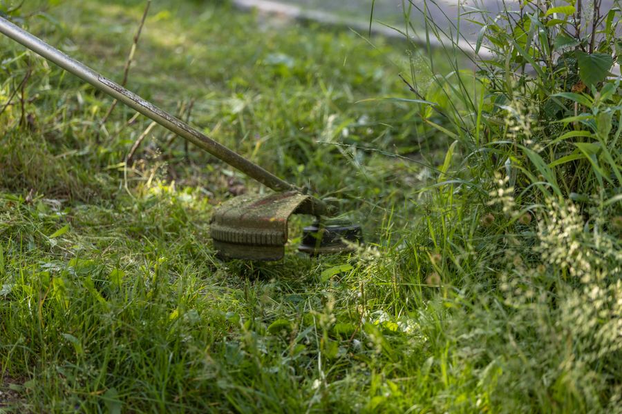 Close-up of a string trimmer cutting grass along a garden edge
