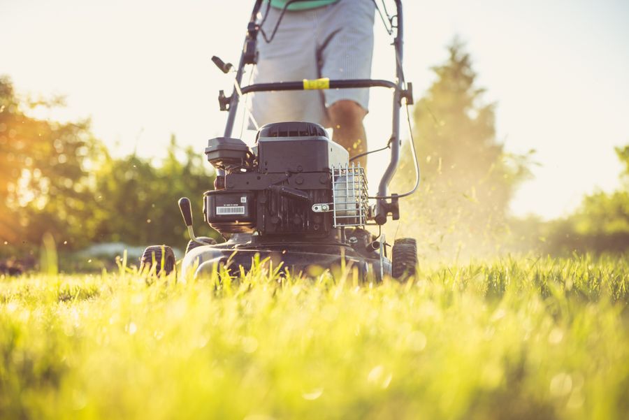 Push mower cutting a bright green lawn in golden evening light